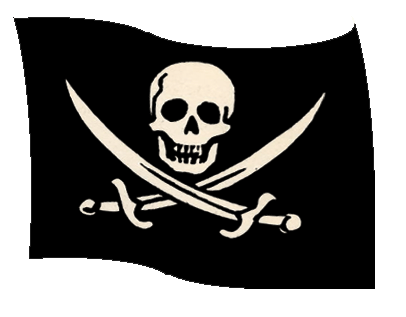 Pirates Of The Caribbean Flag