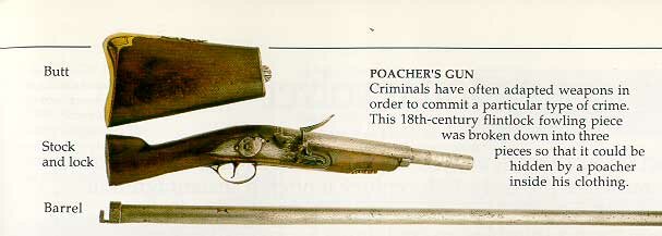 Poacher's Gun