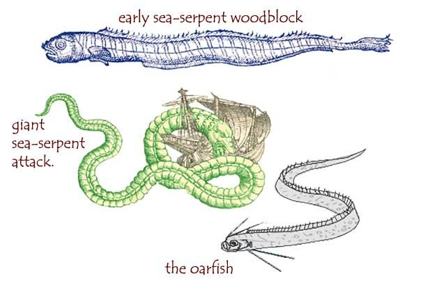 Sea-serpent